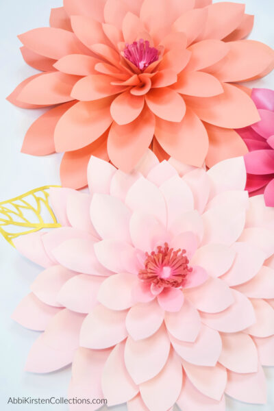 How to make giant paper dahlias: learn how to make adorable and fun paper dahlias in just a few steps with this easy to follow video tutorial!