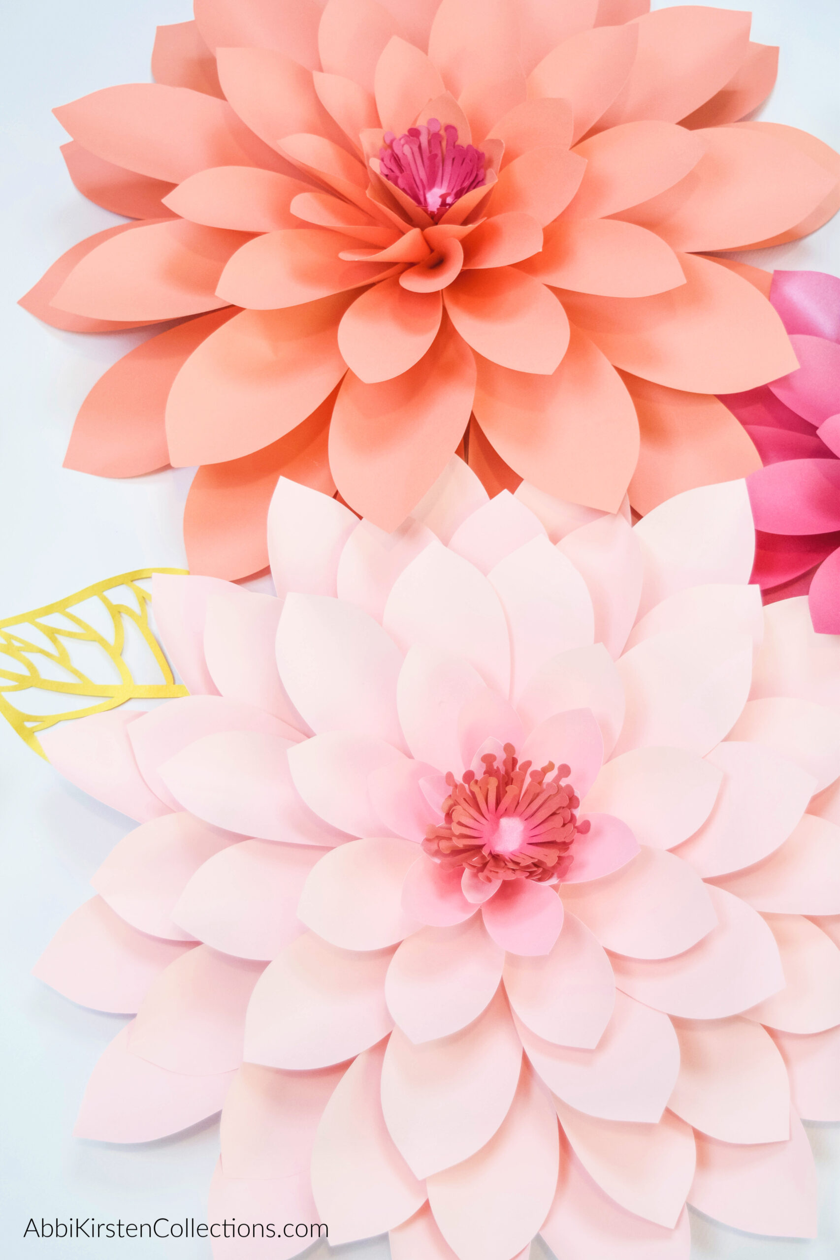 Paper Dahlia Tutorial: How to Make Giant Paper Dahlias