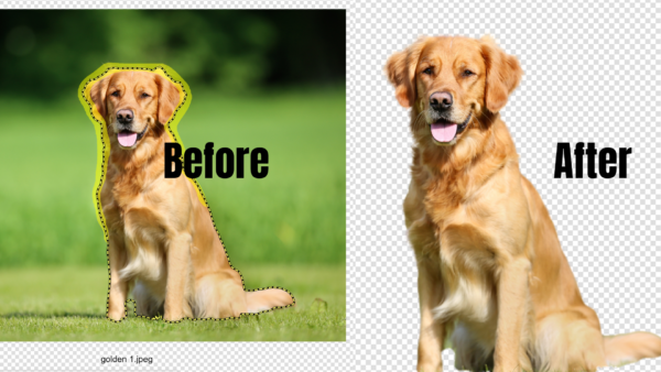Remove photo backgrounds with clipping magic. 