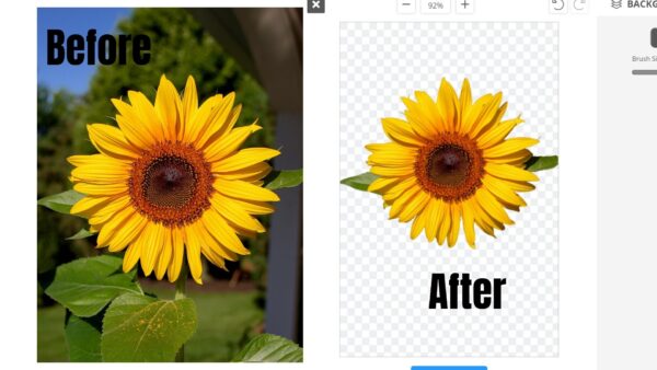Alternative options to Cricut Design Space for clipping photo backgrounds 