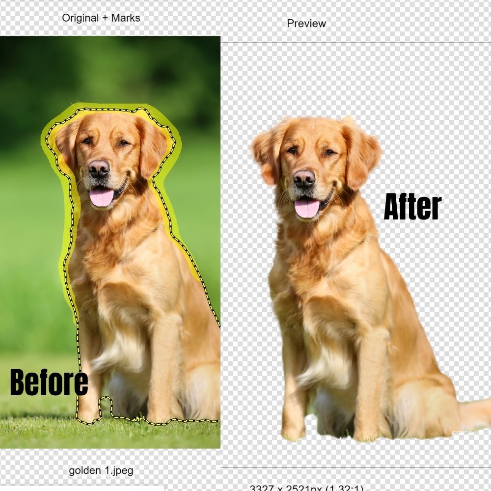 How to Remove Backgrounds in Cricut Design Space – Plus Alternative Background Removers!
