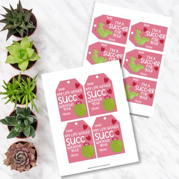 Printable succulent gift tags for Valentines Day are on a marbled tabletop, next to the line of succulent plants on the left side. These tags are great paper crafts for Valentine's Day. 