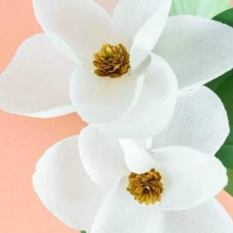 Crepe Paper Magnolia