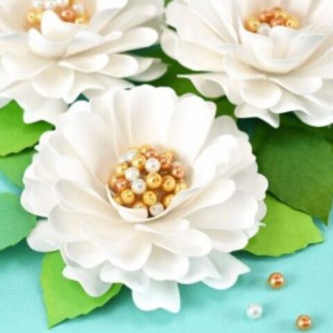 White paper dahlia flowers with pearl centers.