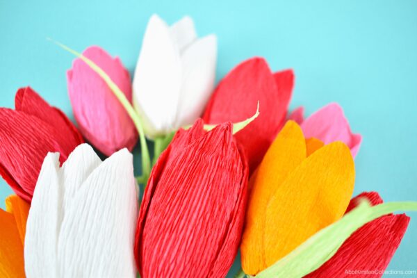 Crepe paper tulip flower tutorial