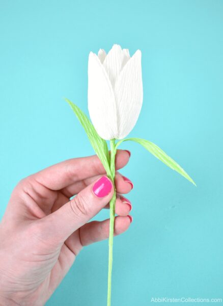 White 3D tulip flower tutorial. 