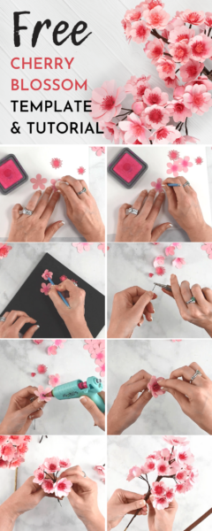 DIY paper cherry blossom tutorial. Download free printable cherry blossom templates and SVG cut files for Cricut. 