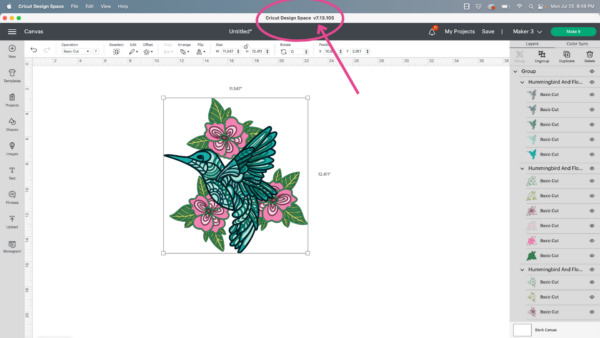Design Space updates are based on the version you have. The open canvas page of Design Space has a circle around the top text that shows which version you have.  The canvas has a hummingbird and flowers design. 