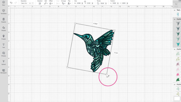 The illustrated hummingbird is in a square with a pink circle at the corner. This is demonstrating how to rotate an image on a Cricut Design Space canvas page. 