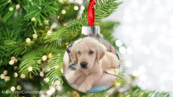 The image shows a clear Christmas ornament hanging on a tree pine tree with a photo inside that looks like it is floating. 