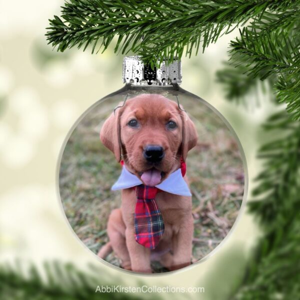 The image shows a clear ornament with a floating personalized photo of a puppy hanging on Christmas tree. 