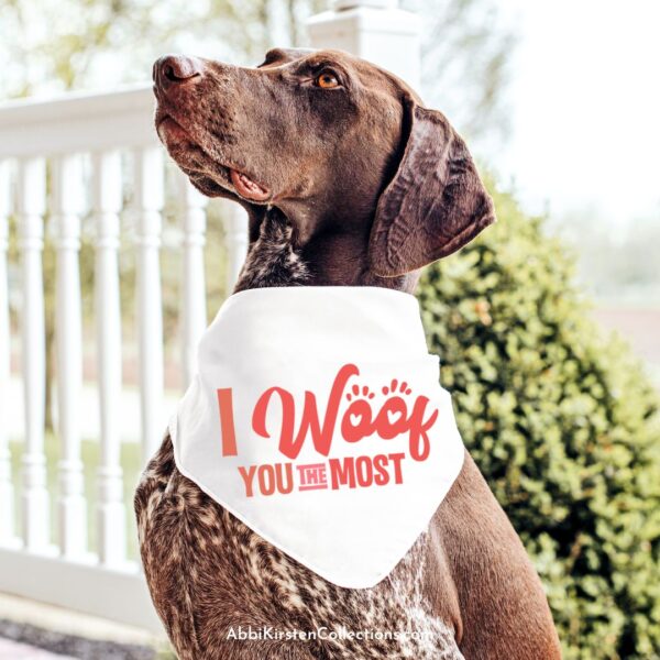 A handsome dog sits on a sunny porch while wearing a white bandana that reads "I woof you the most." This craft can be made with an iron-on vinyl or infusible ink with a Cricut cutting machine. 