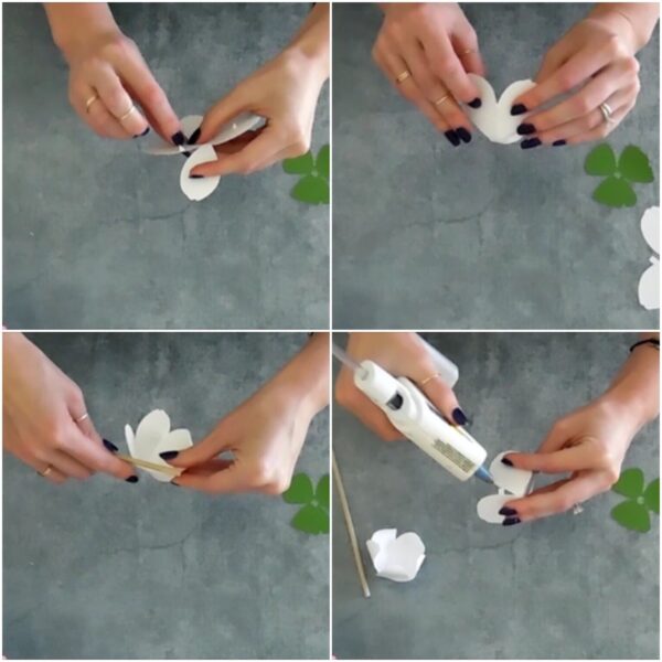 A collage of 4 images showing how to make the outer layer of a paper tulip flower using white paper, a glue gun, and wooden dowel rod to curl the petals.
