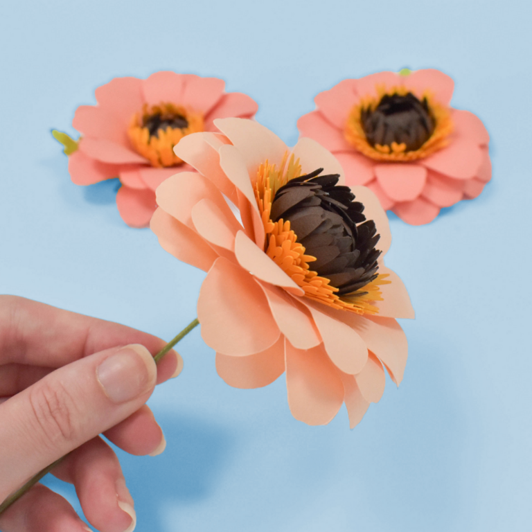 Orange paper zinnia flowers on a blue background.