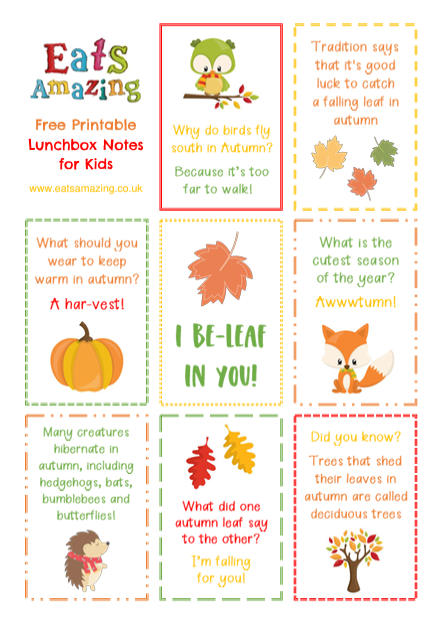 A sheet of free Autumn lunch box notes ready to be cut out and placed in a Bento box. The notes have illustrations of pumpkins, foxes, fall leaves, and more. Each note also has phrases of encouragement or a child-friendly joke. Scissors, small pumpkins, and a Bento box surround the printable sheet.