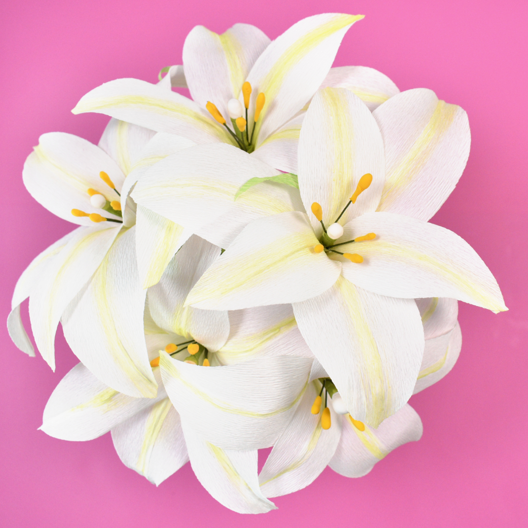 crepe paper lilies on a pink background