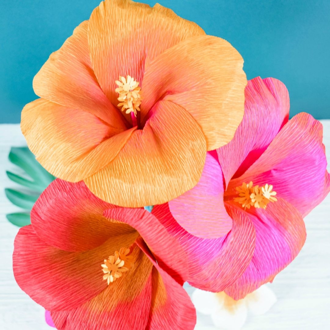 Crepe paper hibiscus flowers