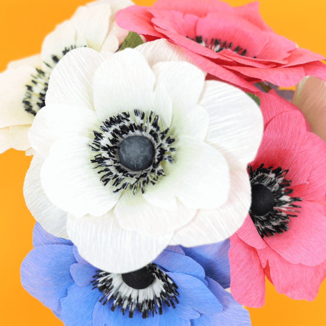 Colorful anemone crepe paper flowers