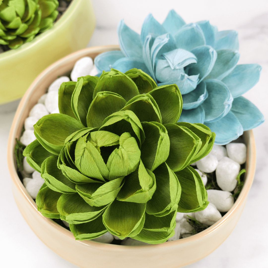 Crepe paper succulents in green and blue