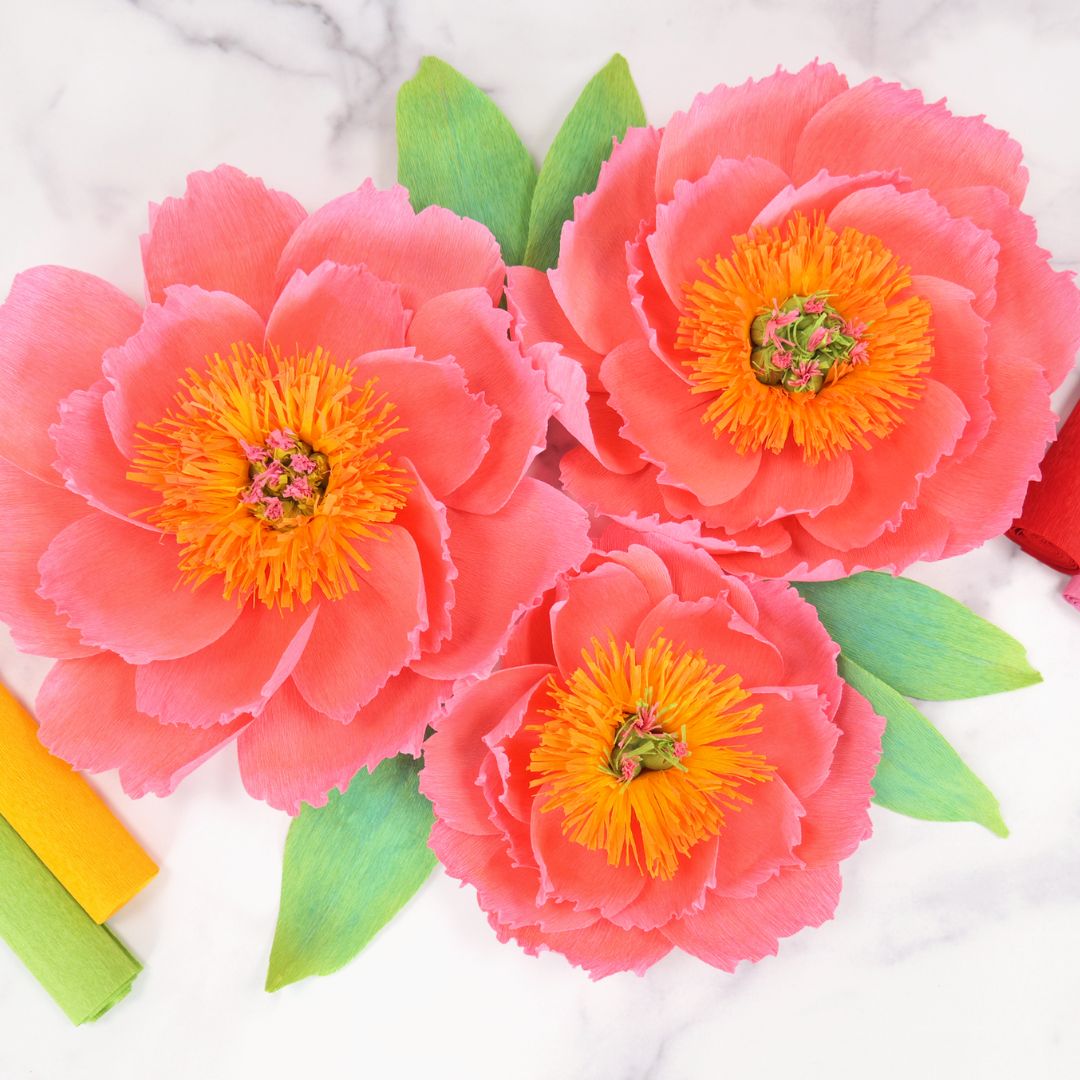 Crepe paper large coral peonies for party decor