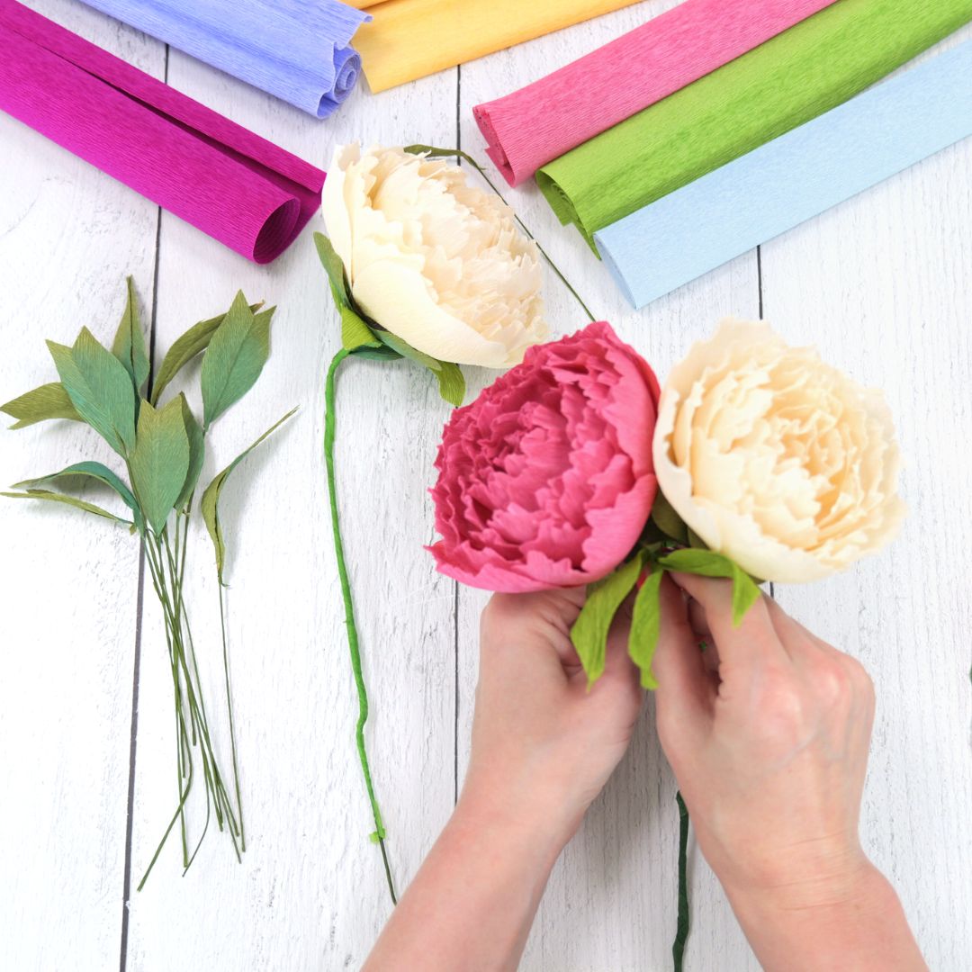 Crepe peonies in cream and pink