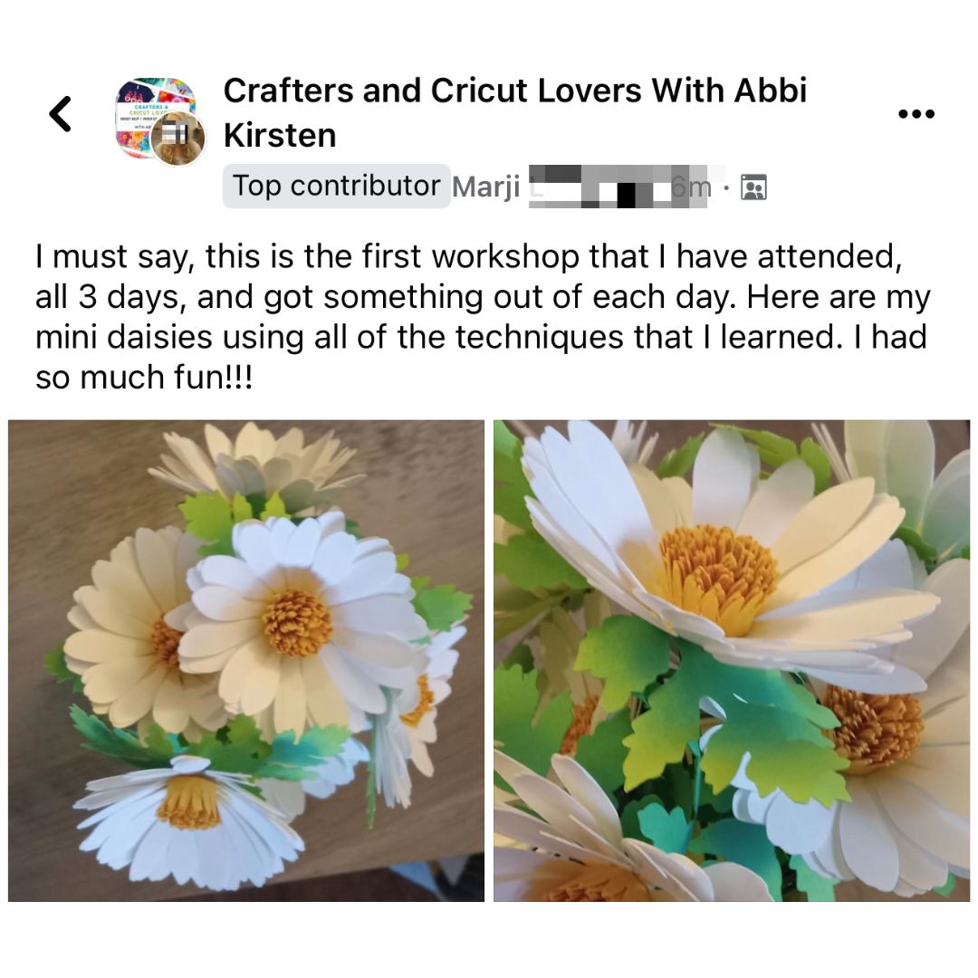 Image shows a paper flowerfest review screenshot from Abbi's community.