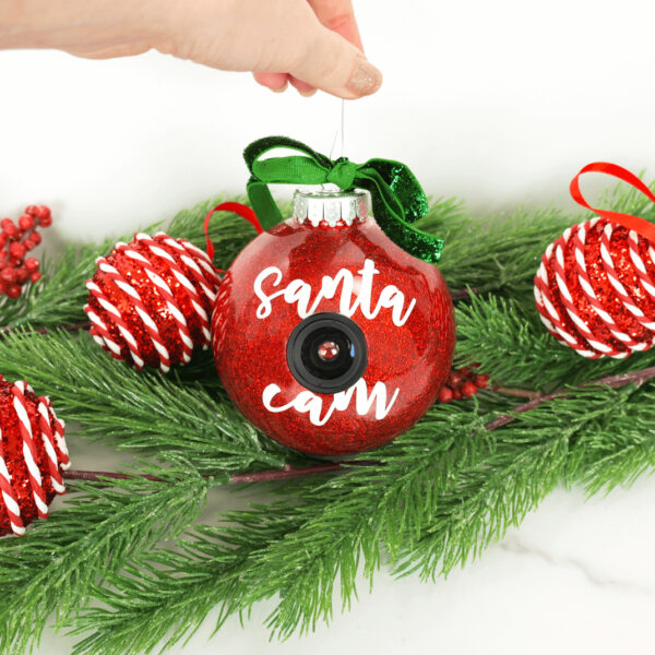 Santa cam