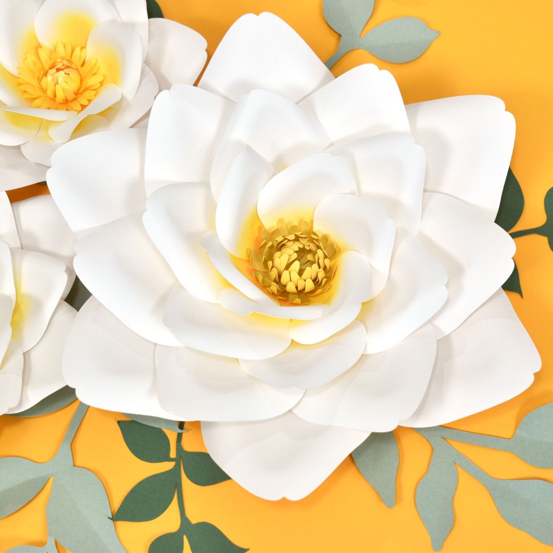 paper magnolia