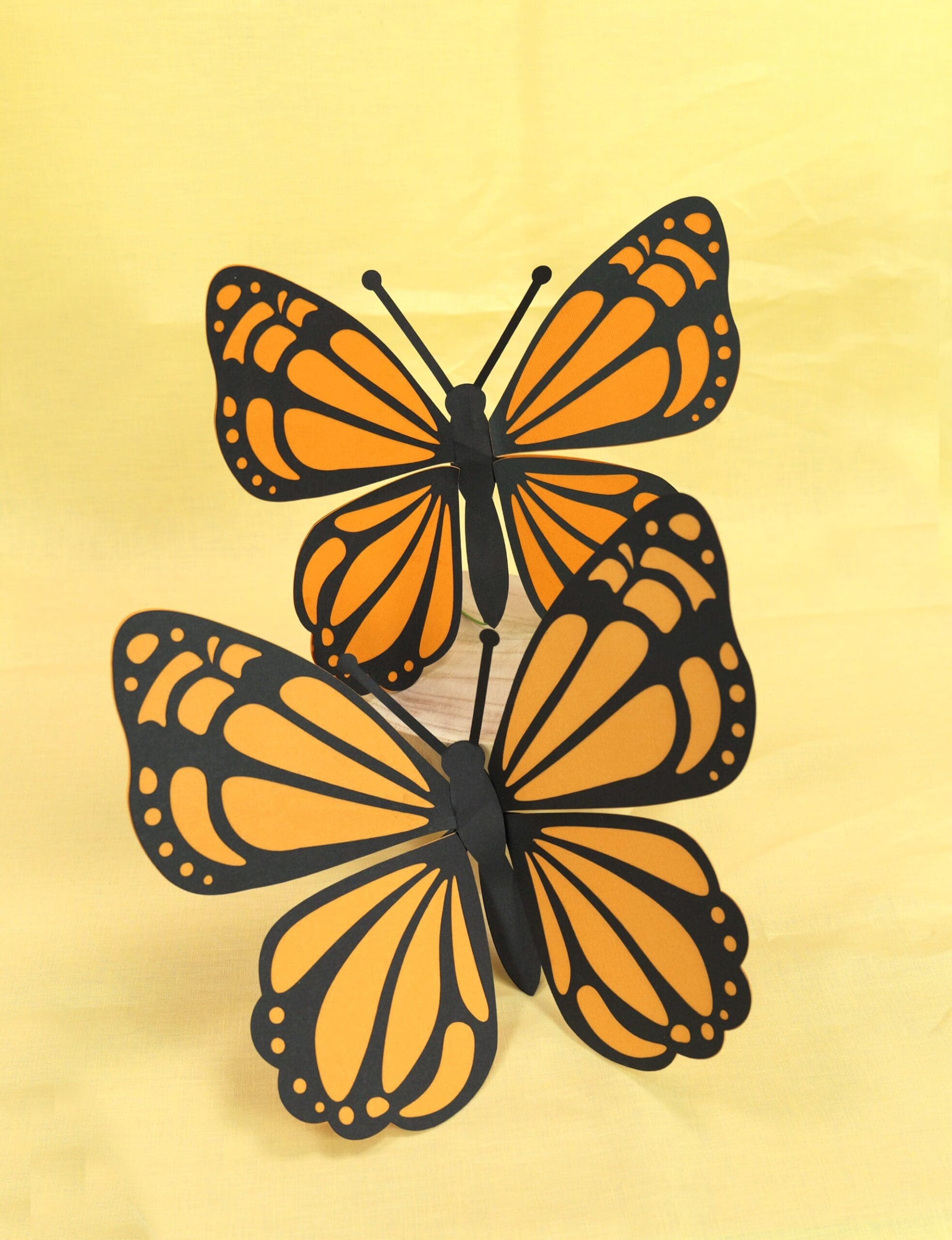 Butterfly1