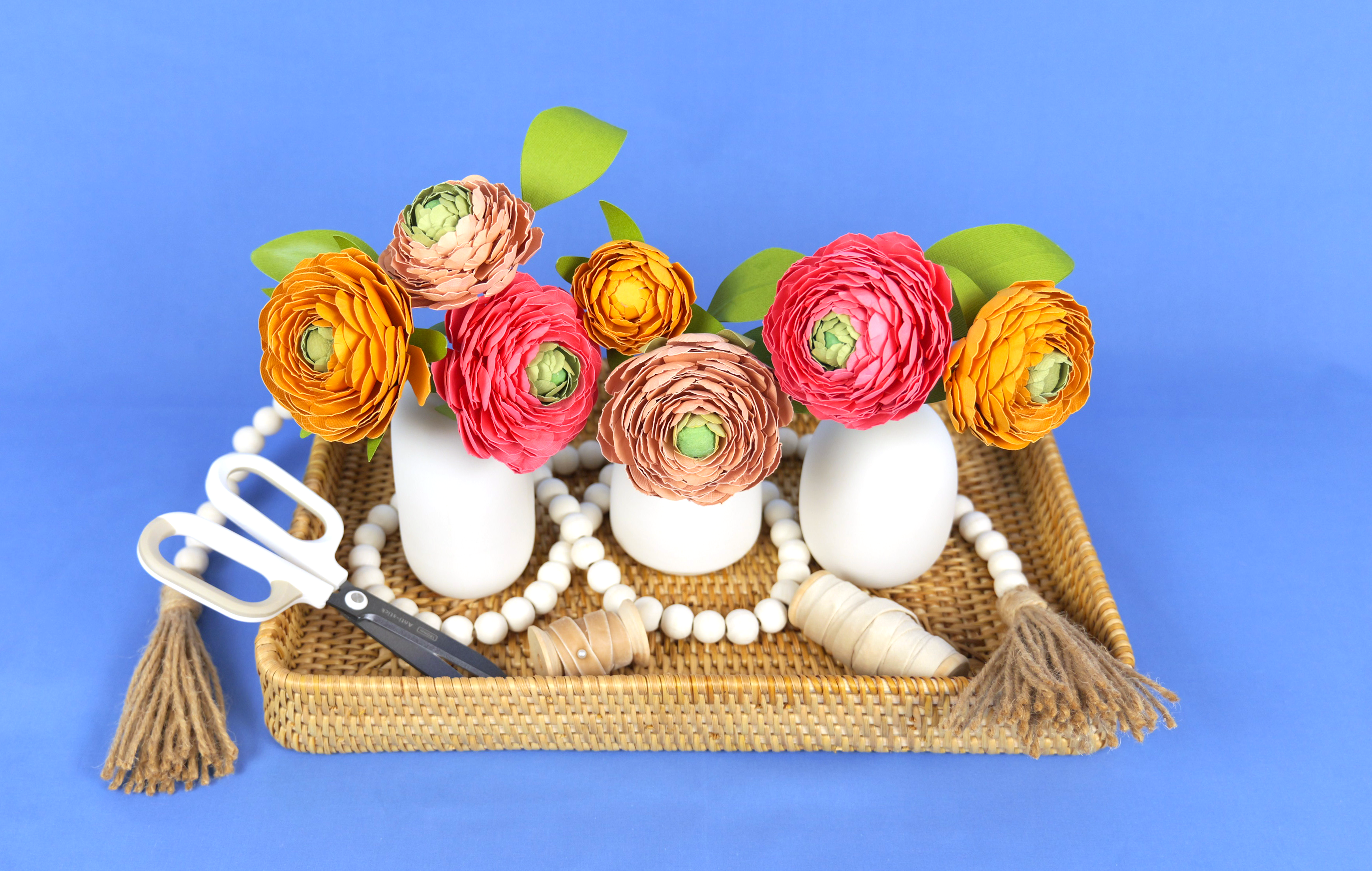 Ranunculus6