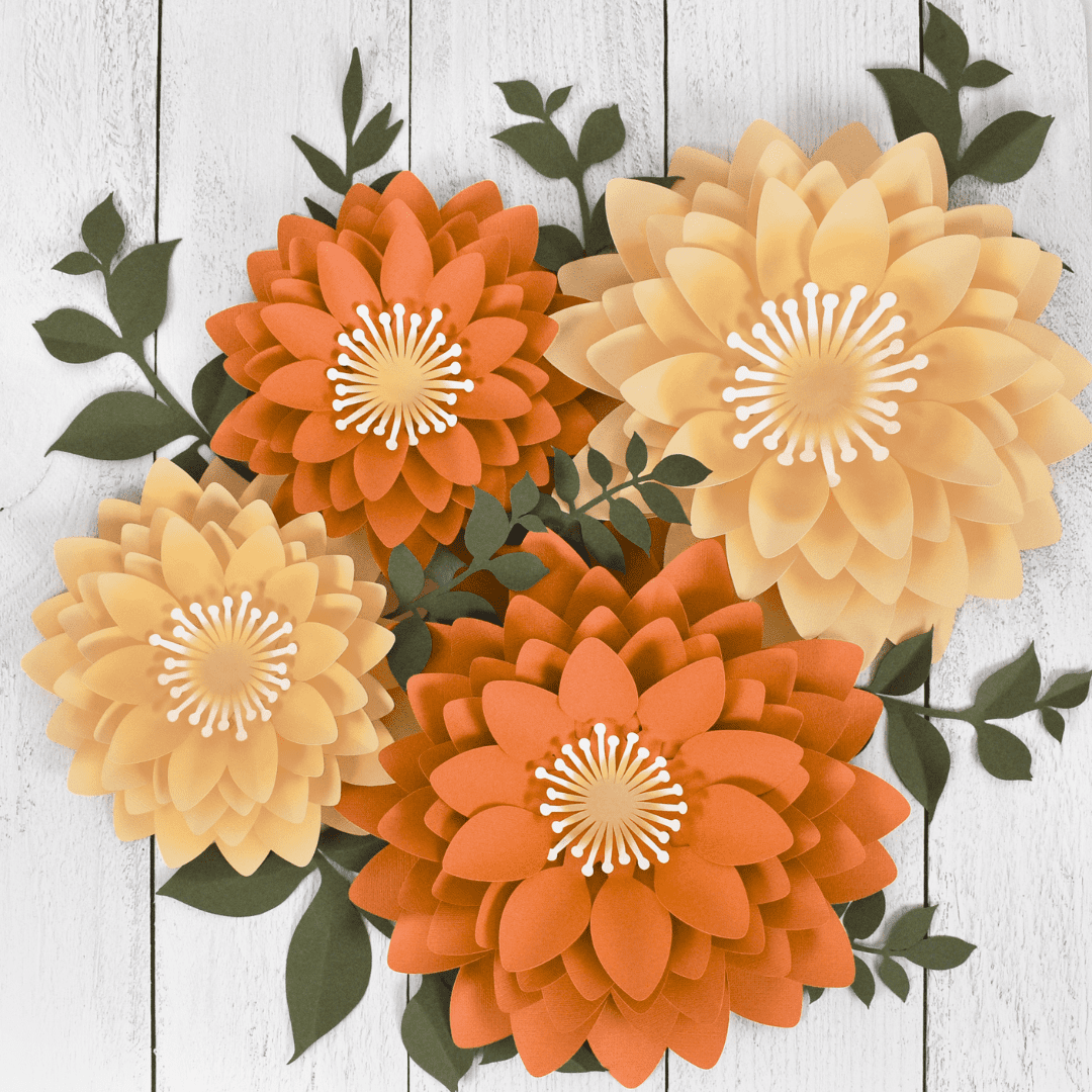 Diva Dahlia (1)