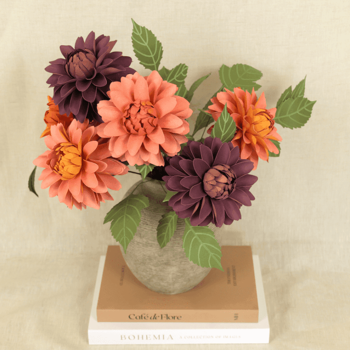 Pacific Dahlia4