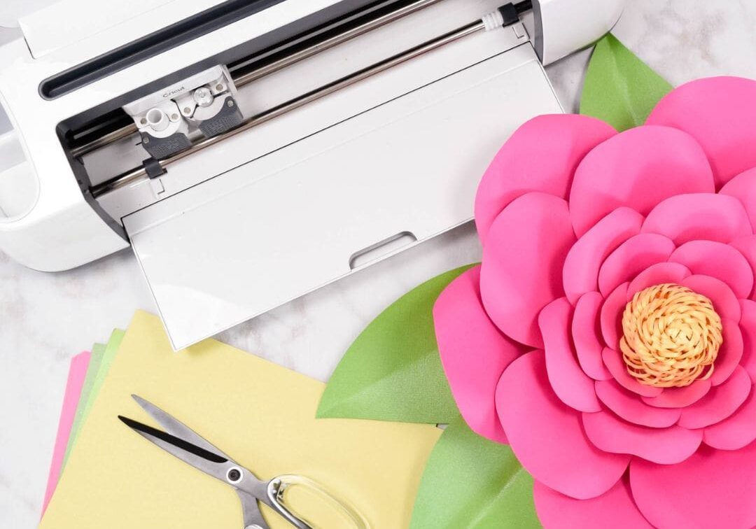 bloom basics images2