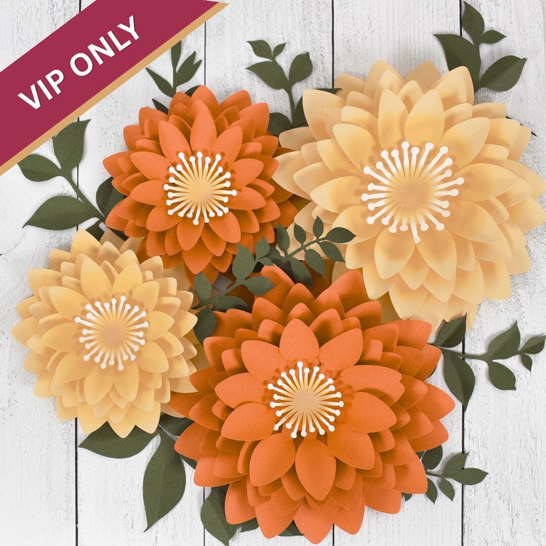 bonuses flowerfest 20264