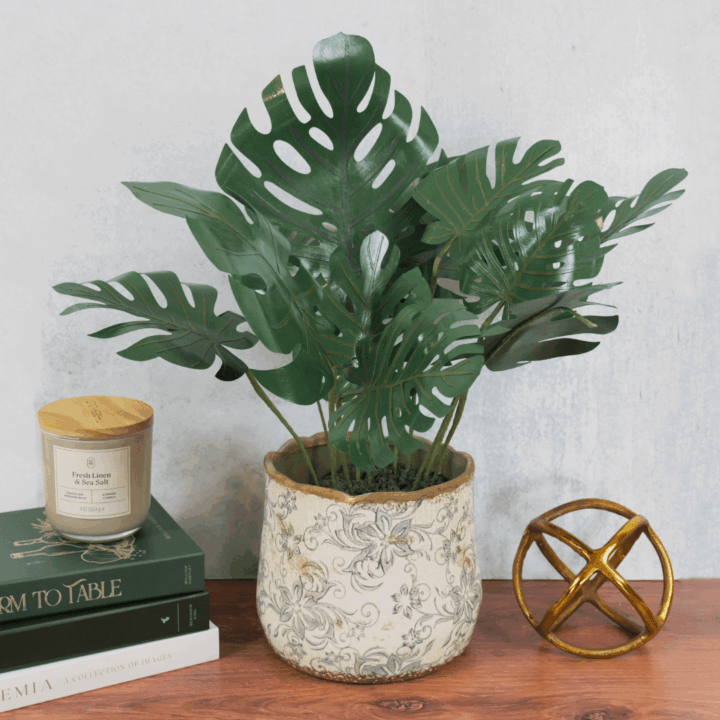 monstera