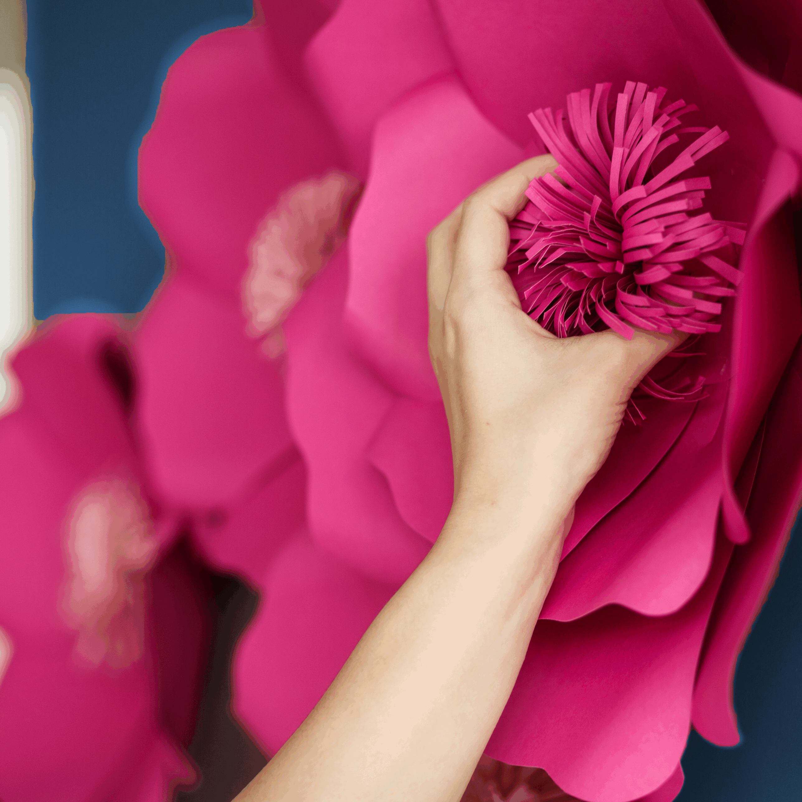 pink flower on wall (1)